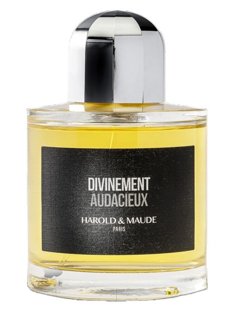 Divinement Audacieux