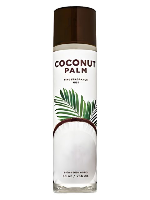 Coconut Palm