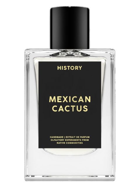 Mexican Cactus