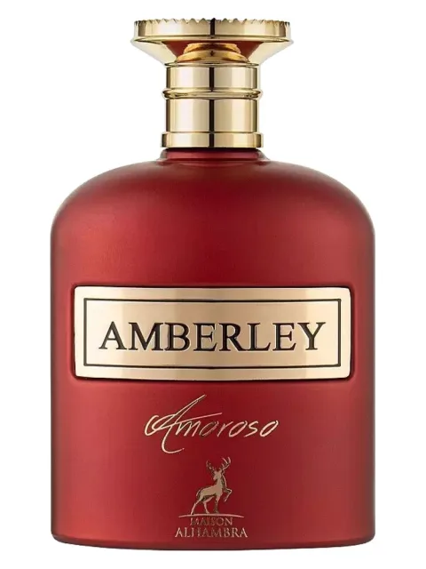 Amberly Amoroso