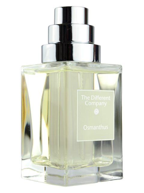 Osmanthus