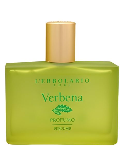 Verbena