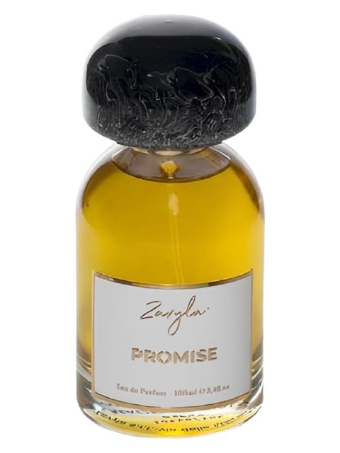 Promise