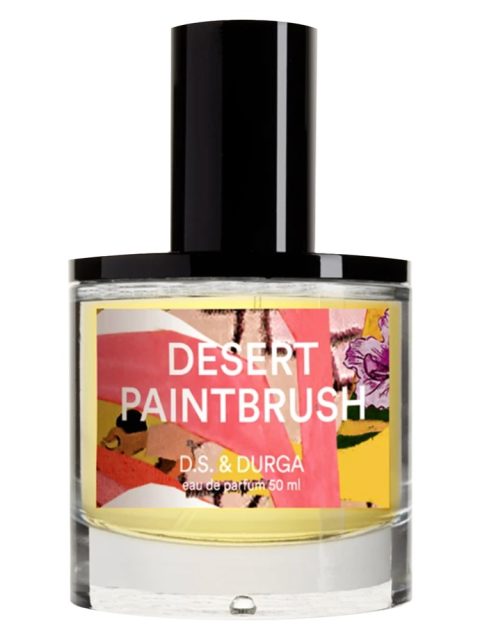 Desert Paintbrush