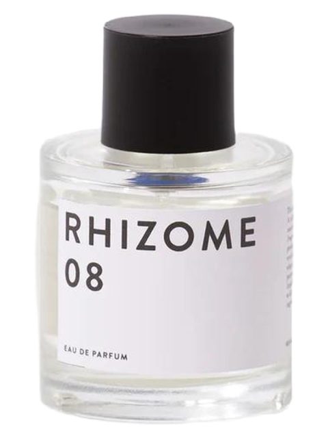 Rhizome 08