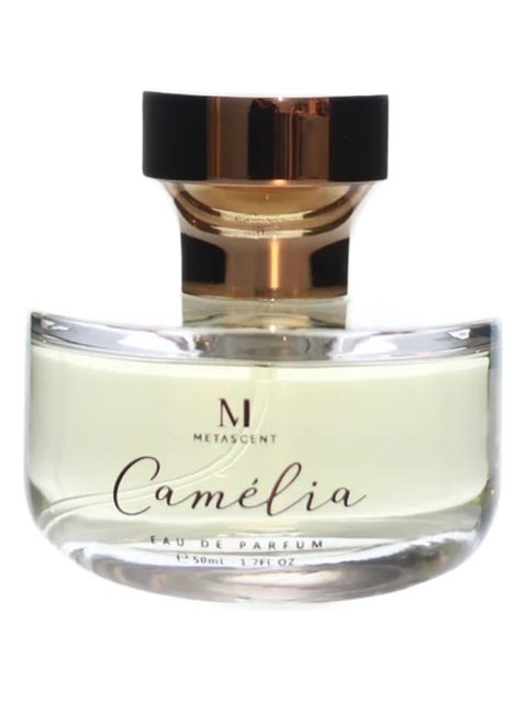 Camelia