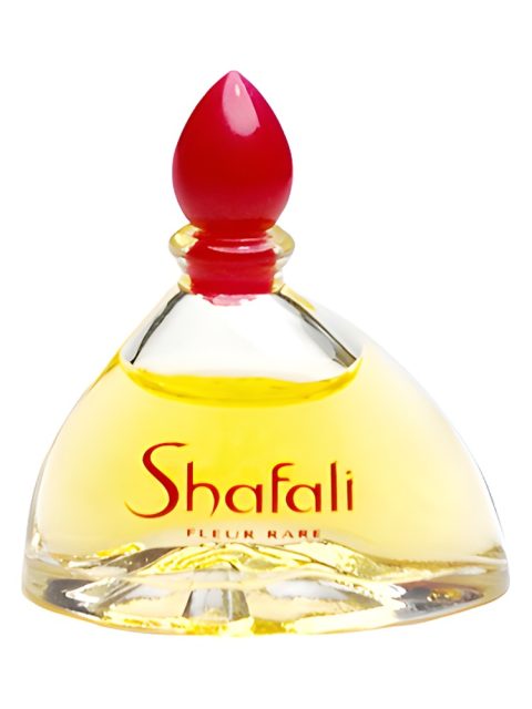 Shafali Fleur Rare
