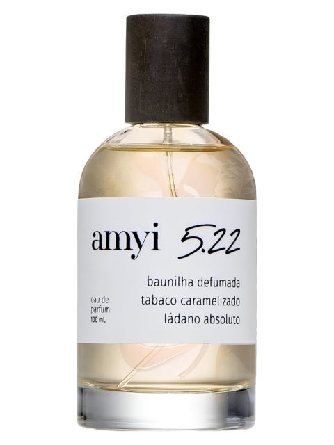 Amyi 5.22