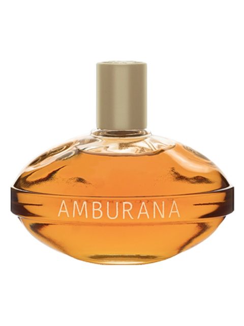 Amburana ao Sol