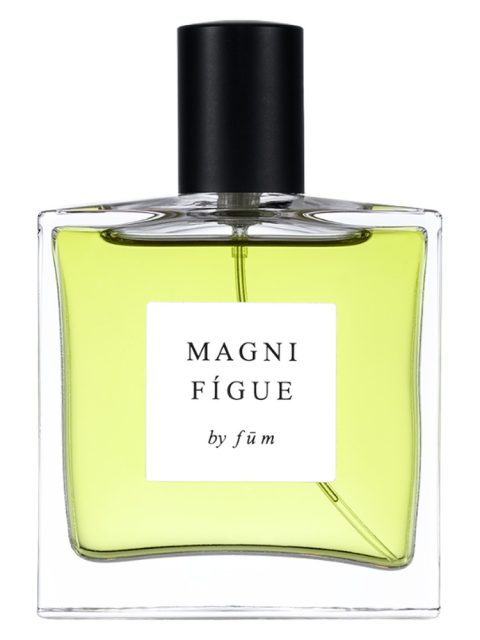 Magnifígue