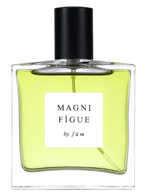 Magnifígue