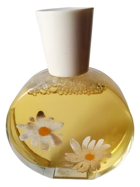 Delicate Daisy