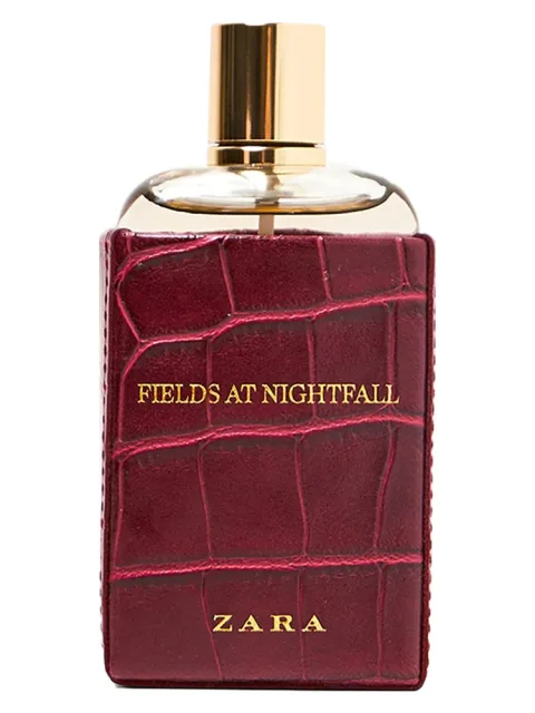 Fields at Nightfall 2018