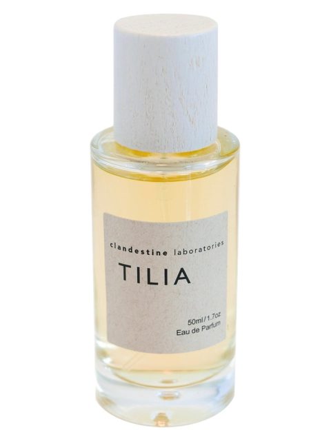 Tilia
