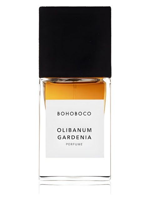 Olibanum Gardenia