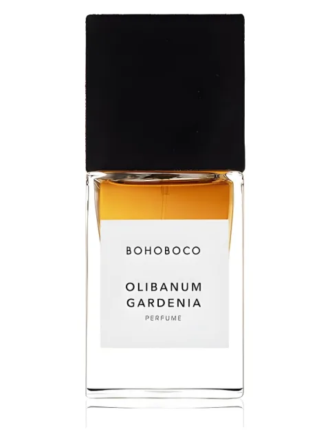 Olibanum Gardenia