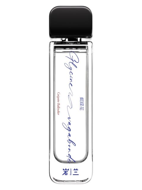Glycine Vagabonde 蝴蝶花