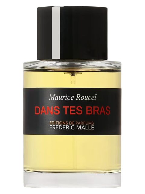 Dans Tes Bras
