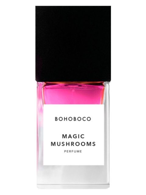 Magic Mushrooms