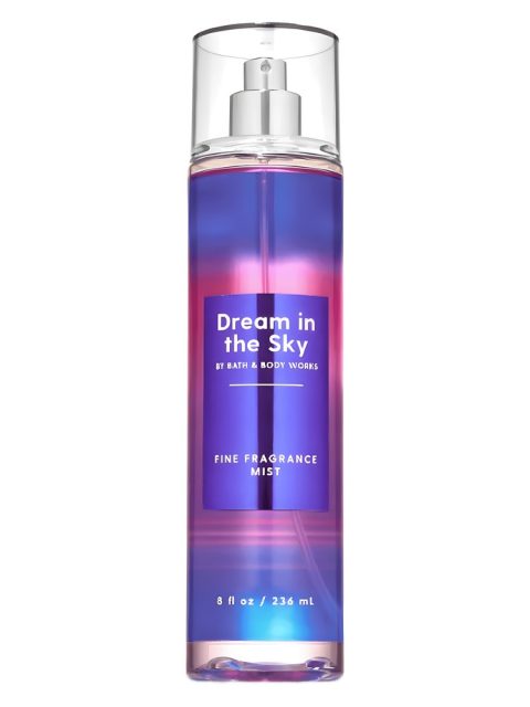Dream In The Sky