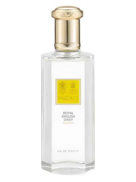 Royal English Daisy