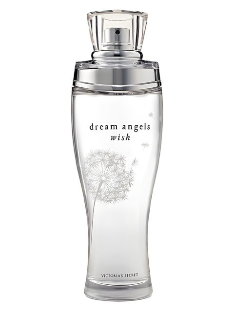 Dream Angels Wish