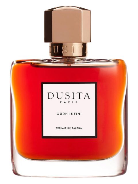 Oudh Infini