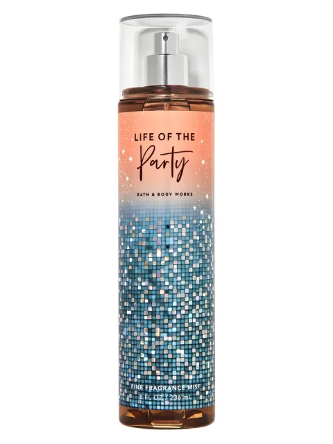 Life of the Party