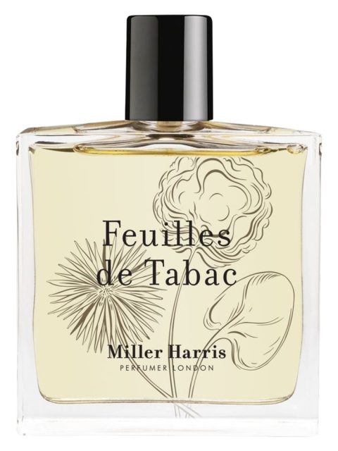 Feuilles de Tabac