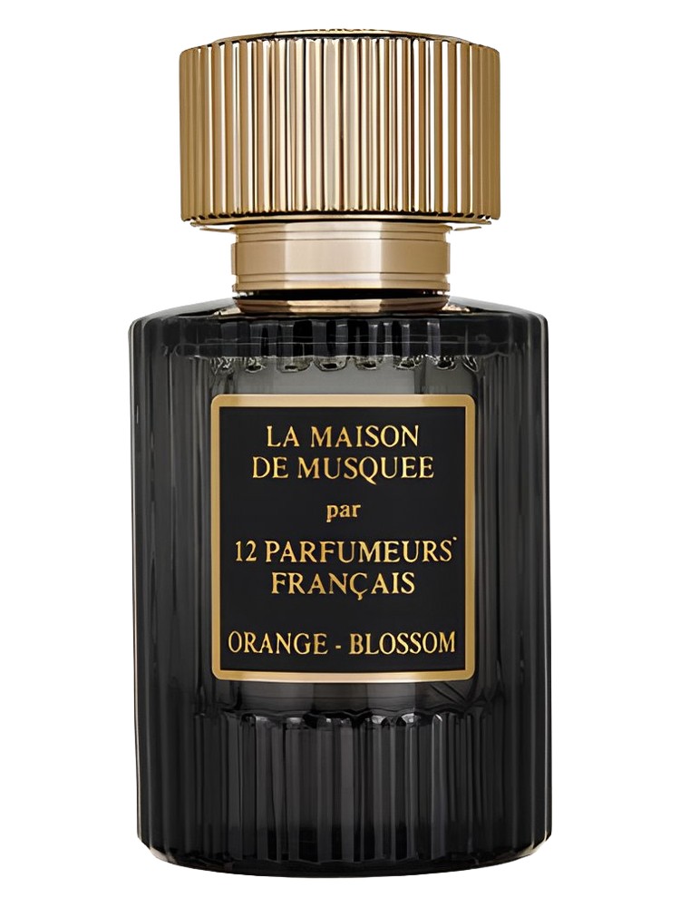 Orange Blossom