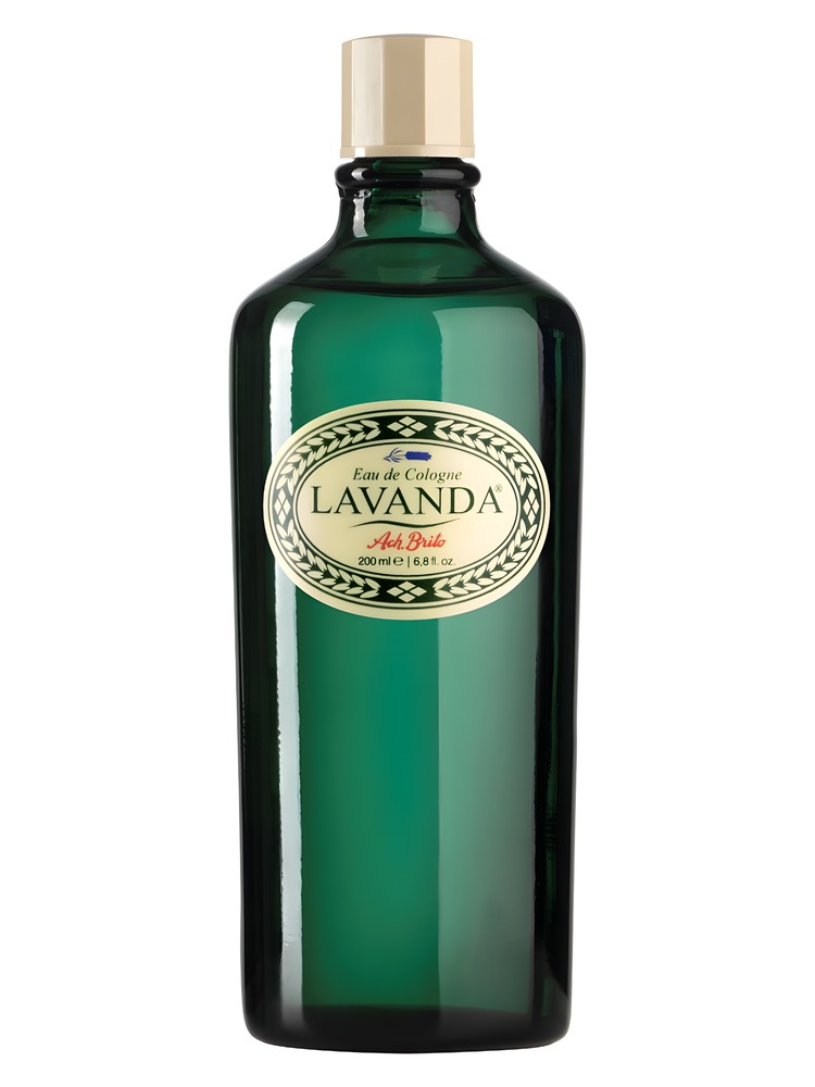 Lavanda