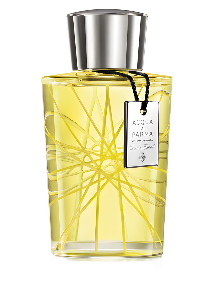 Colonia Assoluta Edizione Speciale 2013