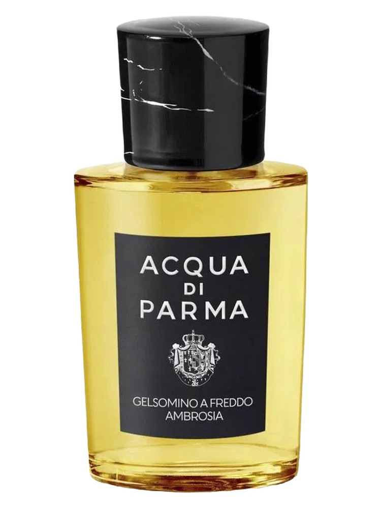 Gelsomino a Freddo Ambrosia