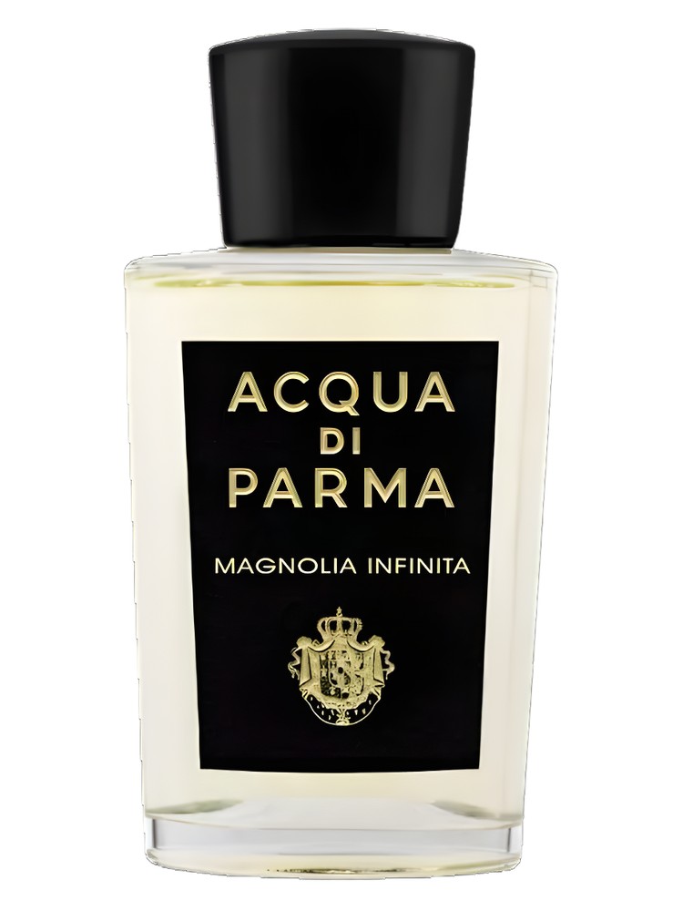 Magnolia Infinita