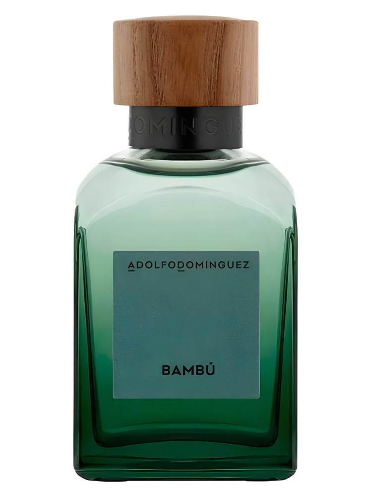 Bambú 2024