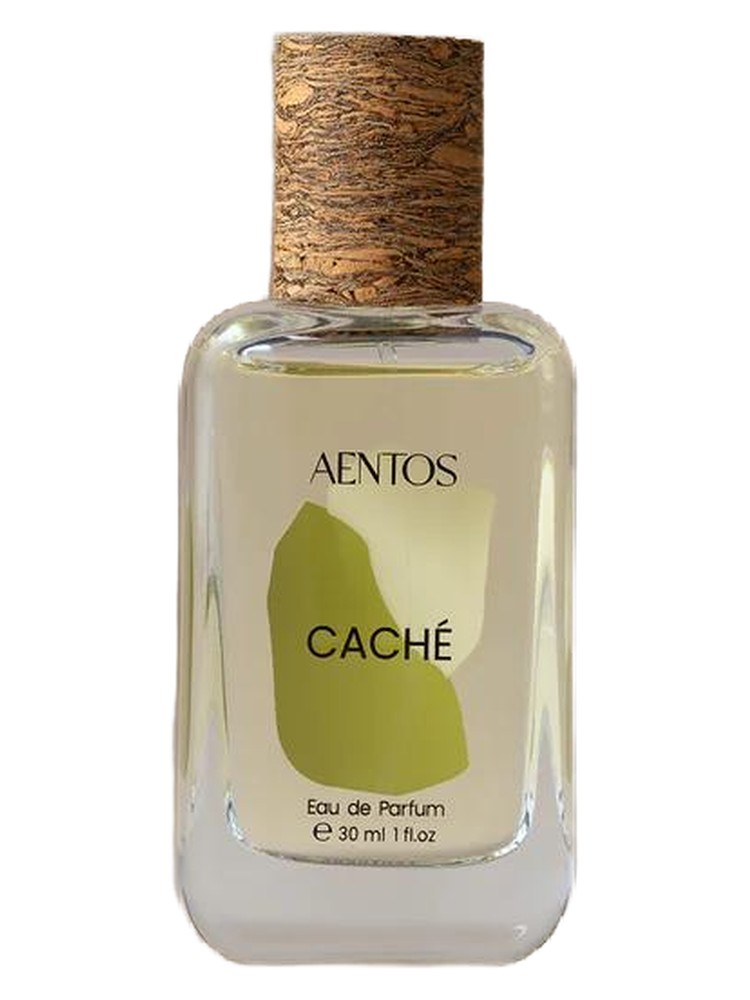Caché 枝节光