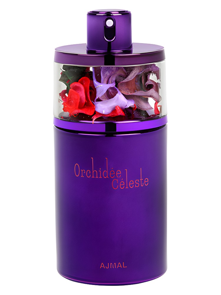 Orchidee Celeste