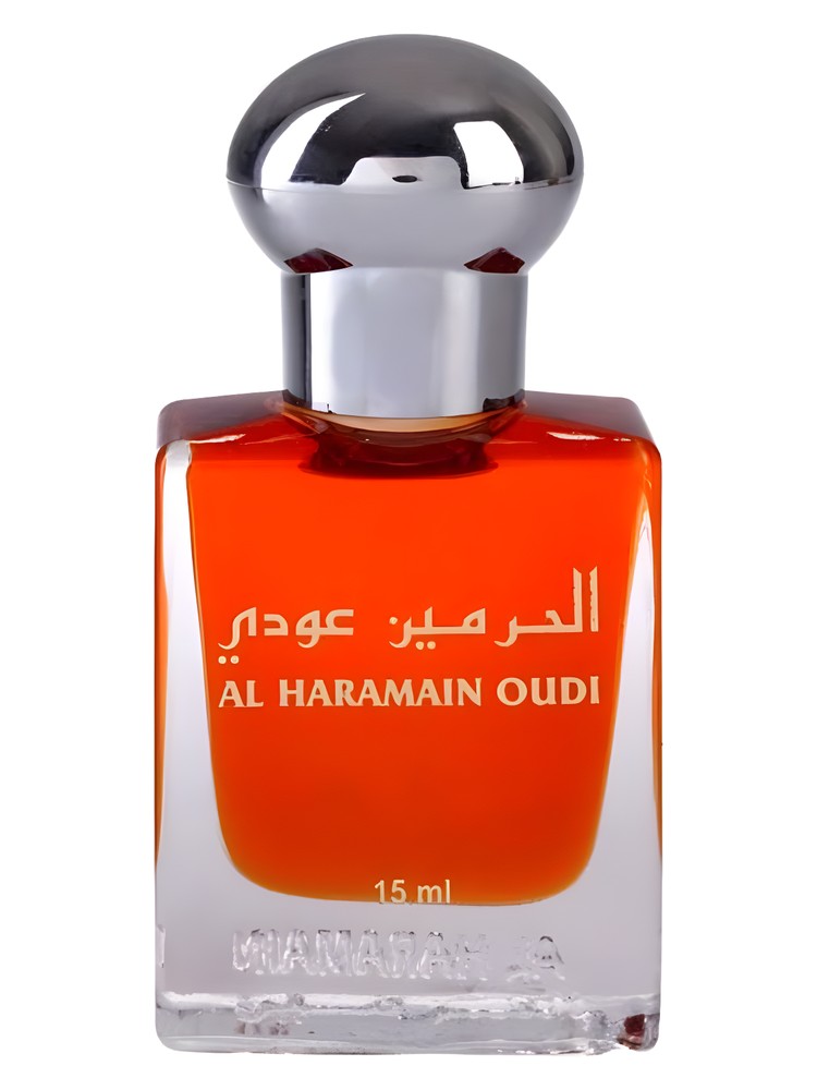 Oudi
