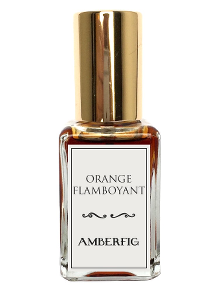 Orange Flamboyant