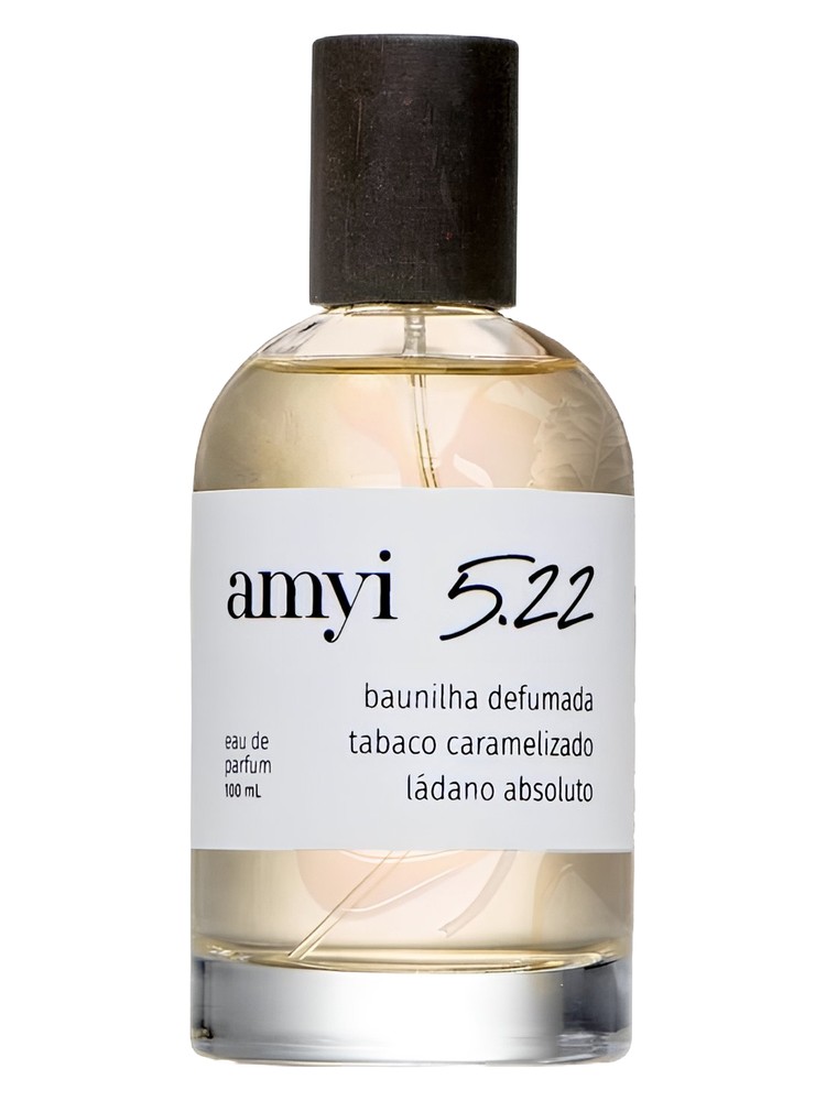 Amyi 5.22