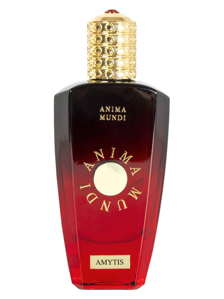 Amytis
