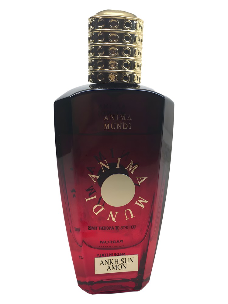 Ankh Sun Amon
