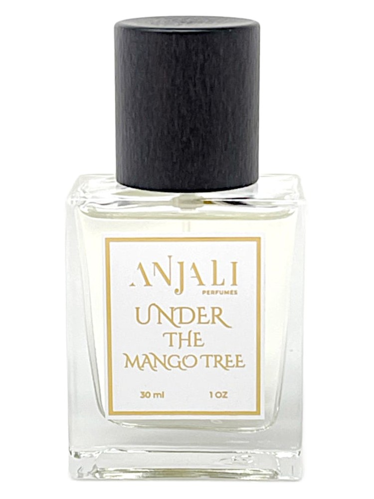 Under the Mango Tree