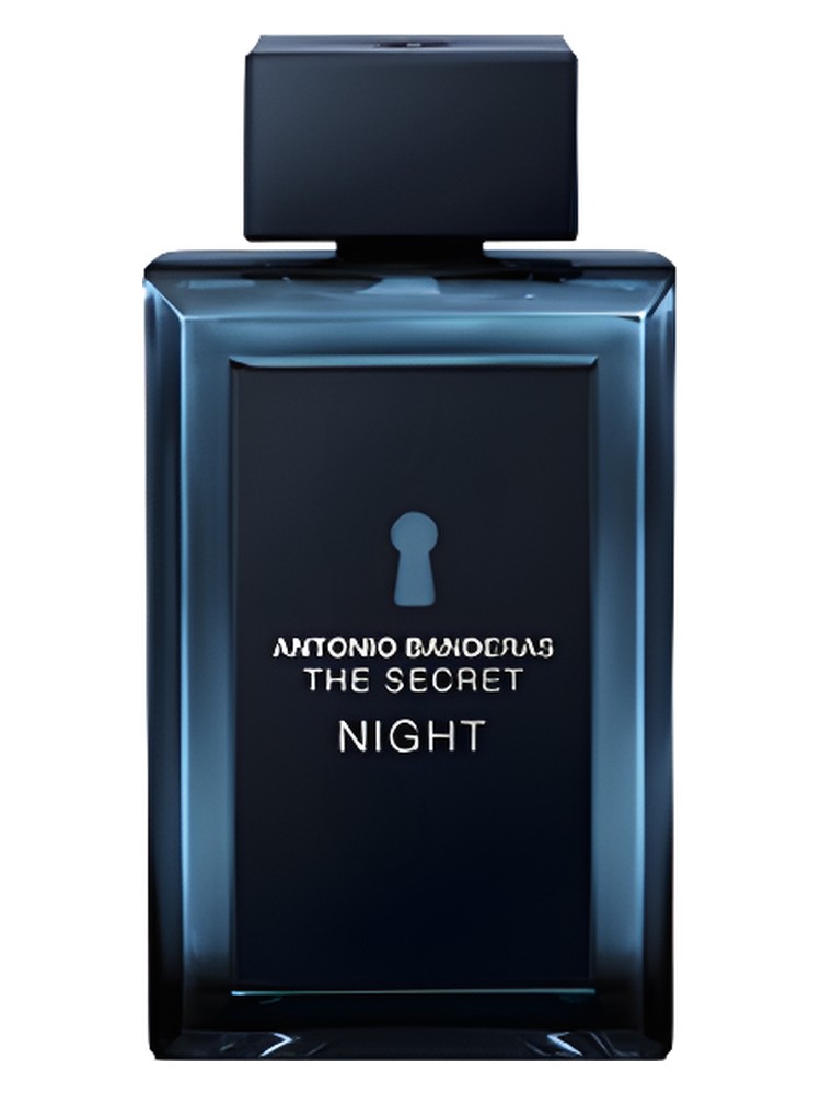 The Secret Night