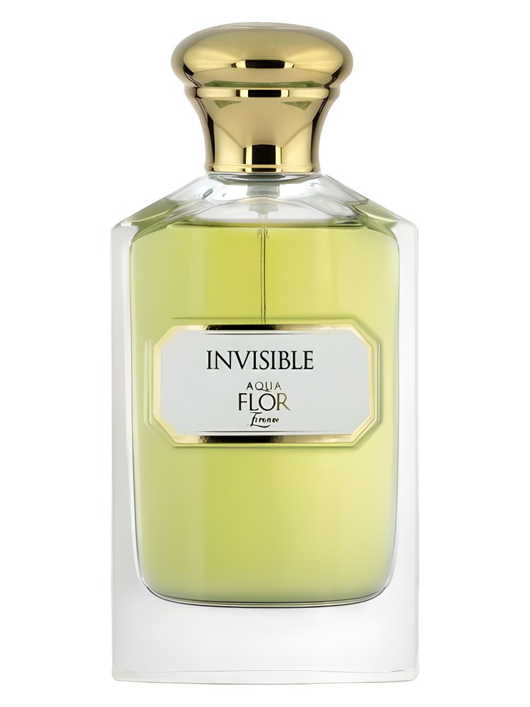 Invisible