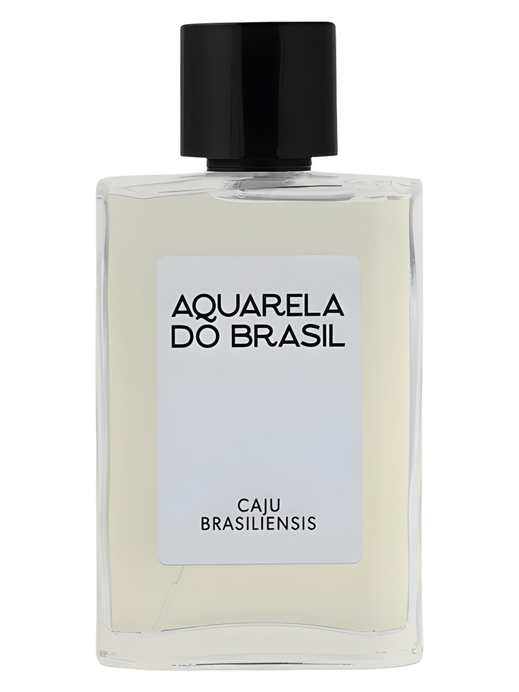 Caju Brasiliensis