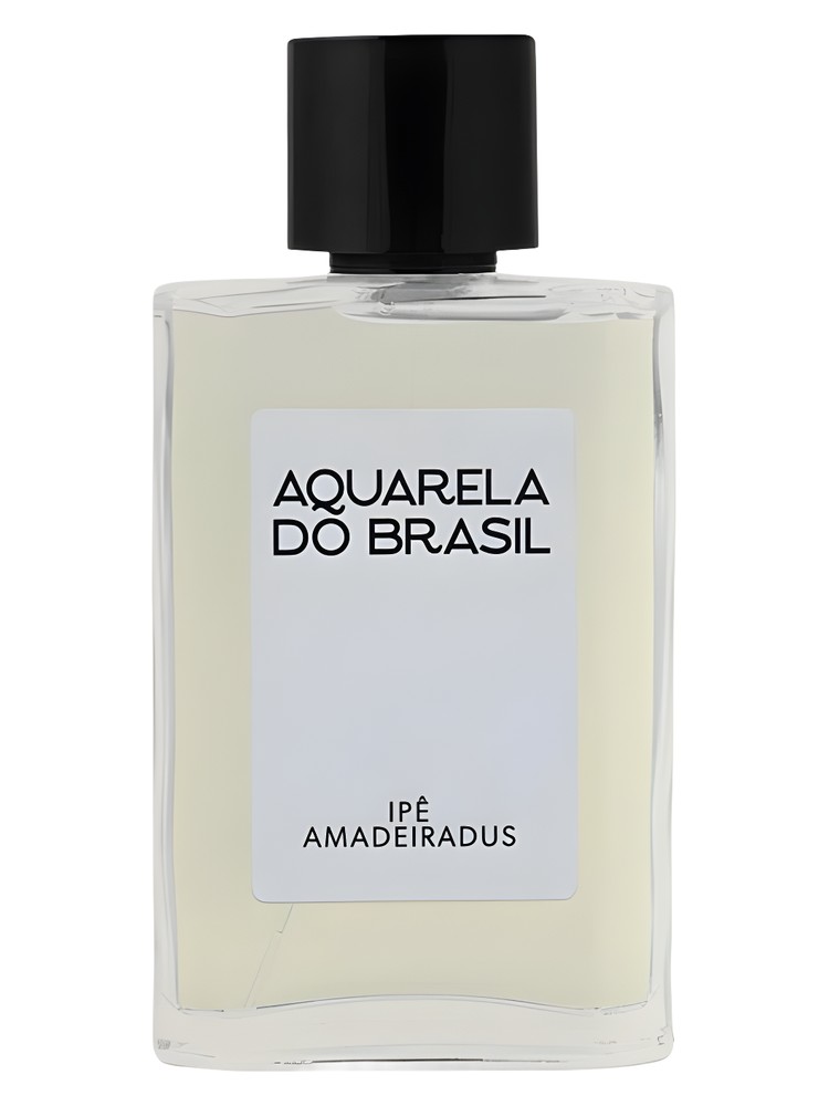 Ipê Amadeiradus