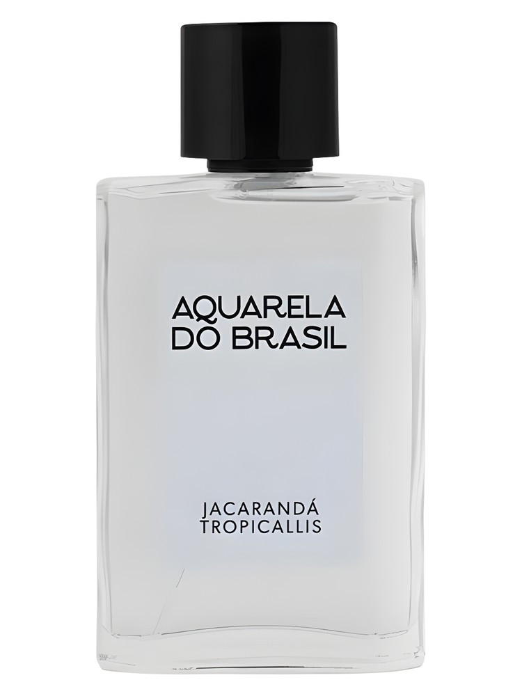 Jacarandá Tropicallis