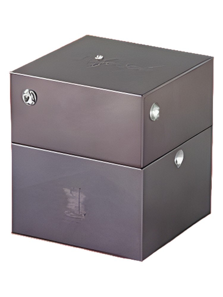 Silver Style 9