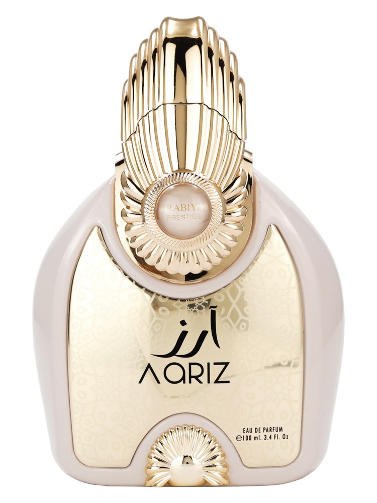 Aariz L’Absolu